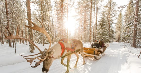 Rovaniemi: Santa Claus Village + Husky & Reindeer Sled Ride