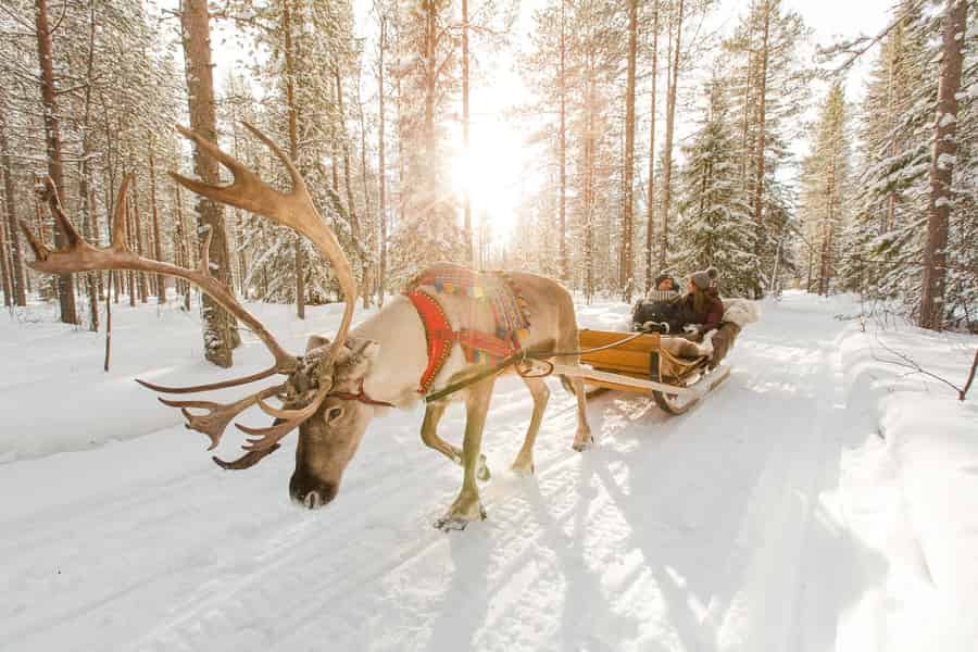 Rovaniemi: Weihnachtsmanndorf + Husky- und Rentierschlittenfahrt. Foto: GetYourGuide Rovaniemi: Weihnachtsmanndorf + Husky- und Rentierschlittenfahrt. Foto: GetYourGuide