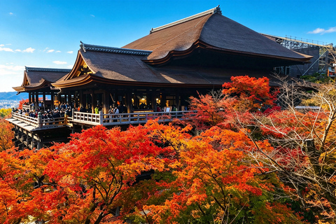 Osaka: Kiyomizu, Fushimi Inari, Nara & Gion Private Sightseeing Tours