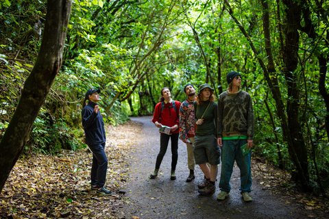 Zealandia: Forest Secrets, Plant Stories Walking Tour