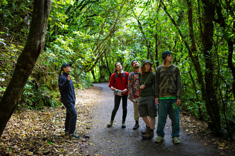 Zealandia: Forest Secrets, Plant Stories Walking Tour