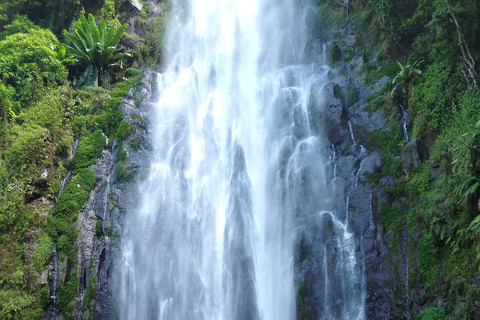 Arusha/Moshi: cascada, tour del café y vino de plátanoCascadas de Materuni, plantación de café y almuerzo desde Arusha