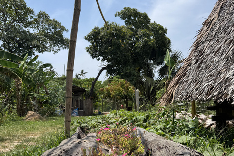 El Nido, Sibaltan: Local Organic Farm Tour & Product Tasting Farm Tour: 2 to 5