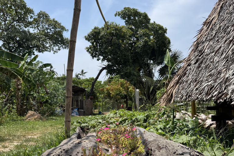 El Nido, Sibaltan: Local Organic Farm Tour & Product Tasting Farm Tour: 2 to 5