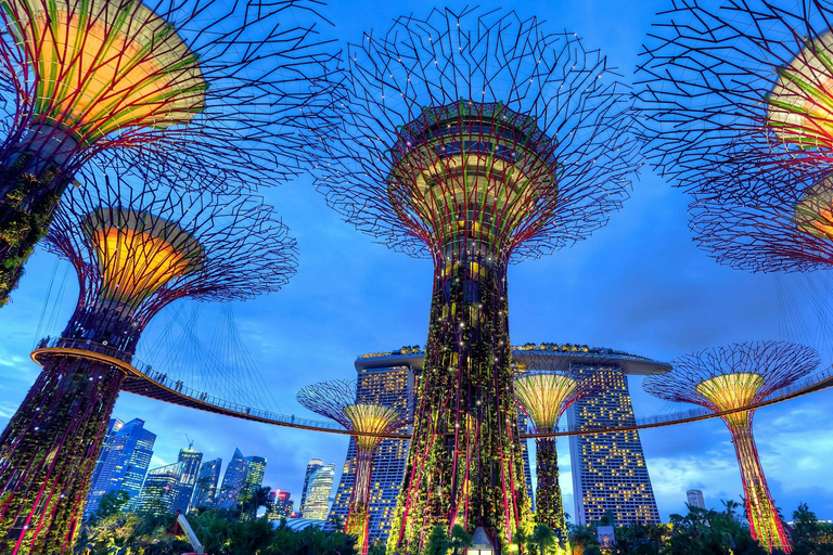 Cingapura: Excursão de um dia para Sentosa, Gardens by the Bay, FlyerItinerário do passeio