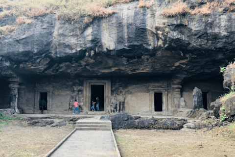 Elephanta Caves Half Day Guided Tour Private Tour from Mumbai Port