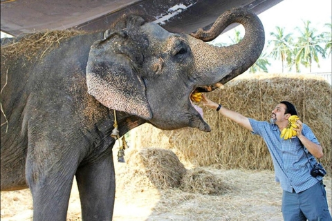 Au départ de Delhi : visite du Taj Mahal au lever du soleil avec conservation des éléphantsTout compris : voiture + guide + billet d'entrée + conservation des éléphants + déjeuner