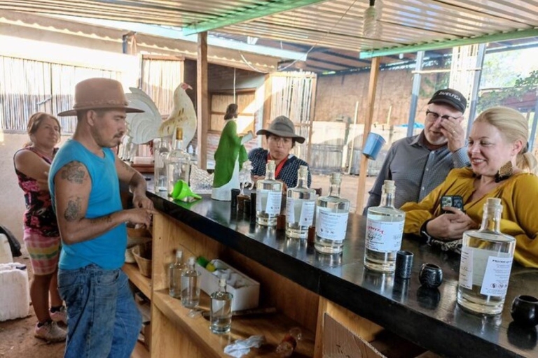 Oaxaca: Ancestral Mezcal Tasting in Ocotlan Valley