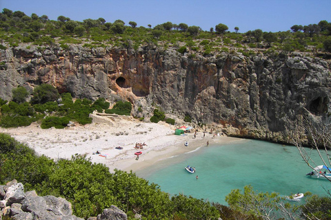 Mallorca: Glass Bottom Boat Excursion - Caves & Unspoiled Coves From Sa Coma: Morning Tour
