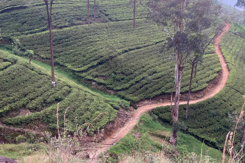 Pekoe Trail 6-9: Guided 6 Day Trail with Hotels & Transfers