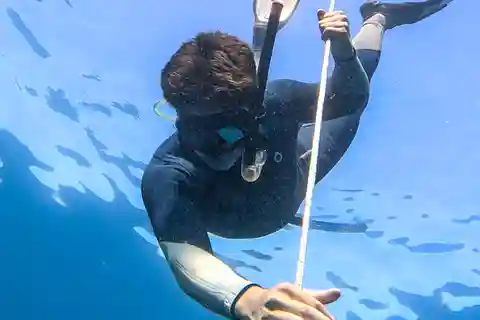 Los Cabos: freediving sessions