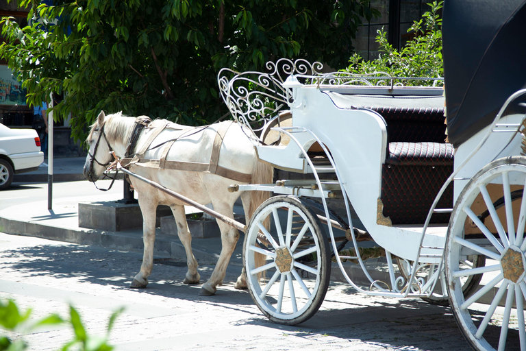 Gyumri: Private City Tour Option with guide