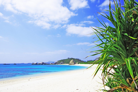 Naha: Viagem de um dia à Ilha Tokashiki com almoço