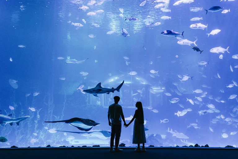 Excursión a Las Palmas de Gran Canaria con entrada al Poema del MarTour en Inglés SIN entrada