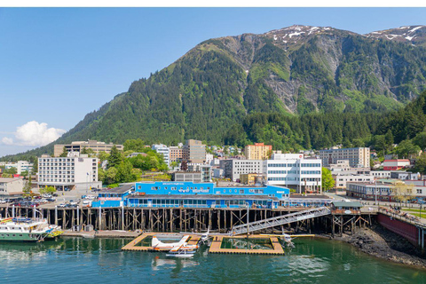 Juneau: Taku Glacier Lodge 5-Glacier Flight & Feast