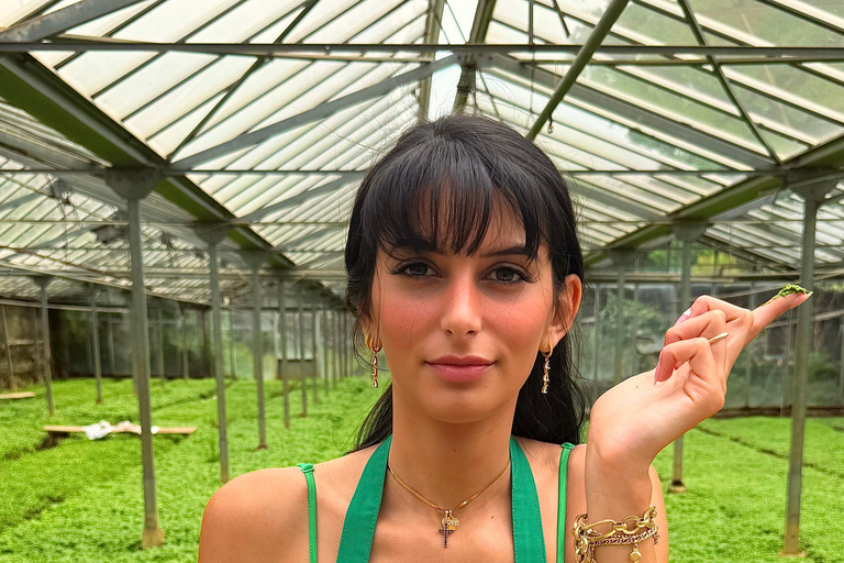 Cooking lesson: Genoese pesto made in a mortar with the World Champion Cooking class: Genovese pesto made in a mortar with the World Champion