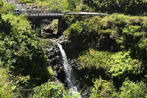 Maui's Sea Turtle & Waterfalls: Taste of Hana Guided Tour