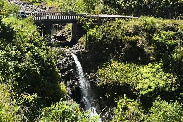Maui's Sea Turtle & Waterfalls: Taste of Hana Guided Tour