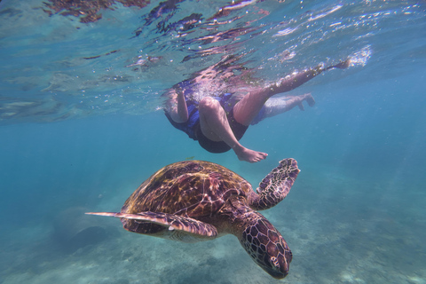 Mirissa: Coral Coast Divers Snorkeling Tour with Turtles