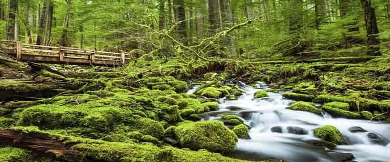 From Seattle: Olympic National Park Full Day Tour