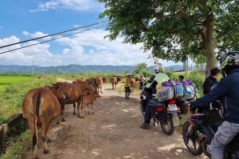 Ho Chi Minh to Cat Tien National Park – Dalat Ho Chi Minh to National Park – Dalat by Motorbike (3 Days)