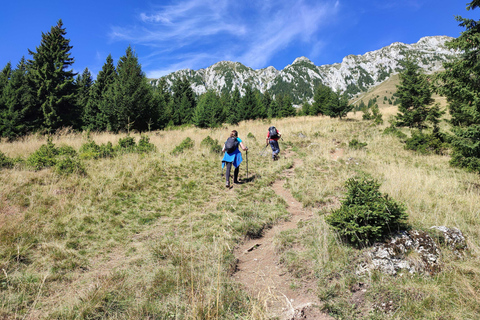 From Brasov: Piatra Craiului Guided Hike with Hotel Pickup