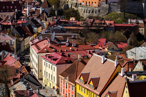 Vilnius: Old Town Walking Tour with Local Guide VILNIUS TAILORED WALKING TOURS - UNIQUE GUIDED EXPERIENCES