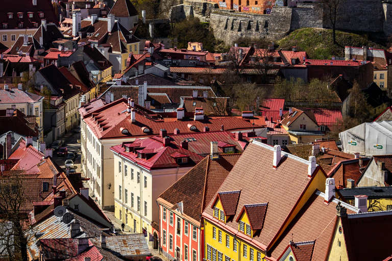 Vilnius: Old Town Walking Tour with Local Guide VILNIUS TAILORED WALKING TOURS - UNIQUE GUIDED EXPERIENCES