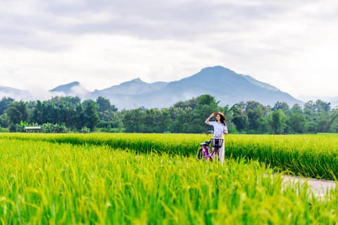 Chiang Mai Bicycle: Into The Lanna Countryside Guided Tour - Image 2