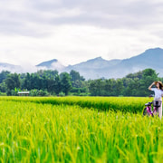 Chiang Mai Bicycle: Into The Lanna Countryside Guided Tour