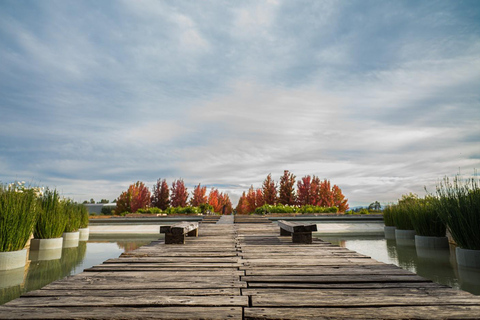 From Santiago: Viña Montes Winery Tour with Wine Tasting