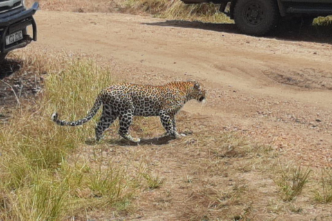 Kenia: 3 Daagse privé safari naar Masai MaraE