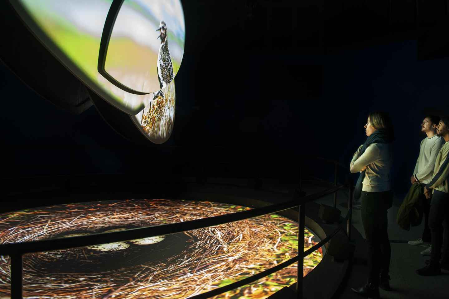 レイキャビク発:フライオーバーアイスランド体験チケット