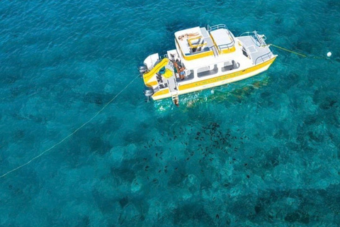 Private:Catalina Island All-Inclusive Adventure