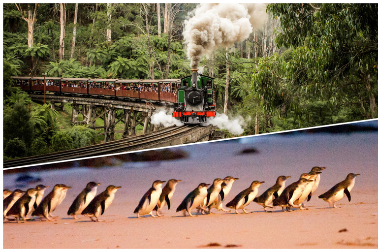 Melbourne: Puffing Billy Railway &amp; Penguin Parade DagtochtRegenjas/Poncho Pakket