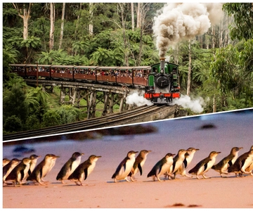 Melbourne: Puffing Billy Railway & Penguin Parade Day Tour