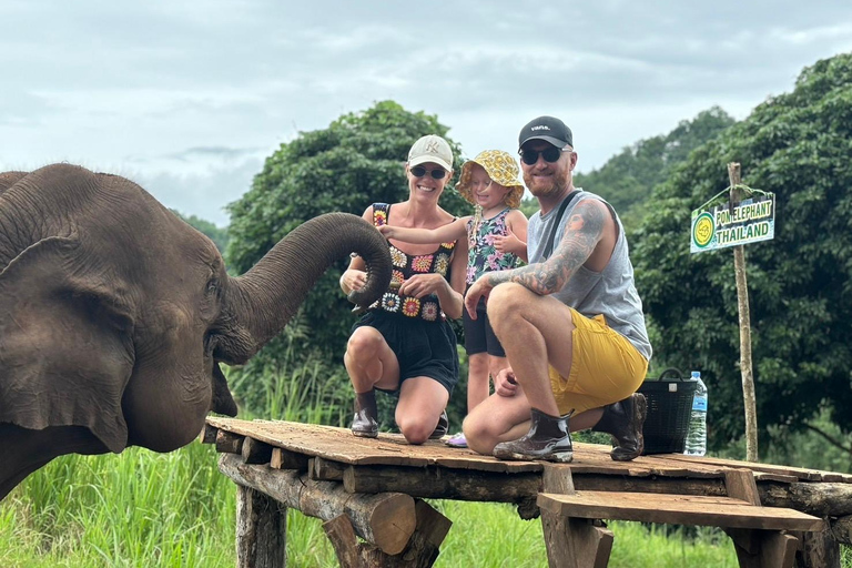 Chiang Mai: Santuário de elefantes, cascata e excursão de raftingPonto de encontro na cidade