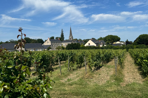 Angers: Fahrt an den Ufern der Loire im elektrischen Tuk Tuk