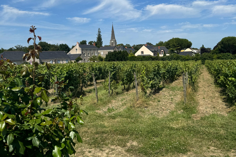 Angers: Fahrt an den Ufern der Loire im elektrischen Tuk Tuk