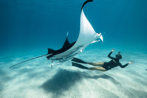 Nusa Penida: Ganztägiges Schnorcheln mit Manta-Rochen am Manta PointSchnorcheln und Westland Tour (Treffpunkt - Penida Port)