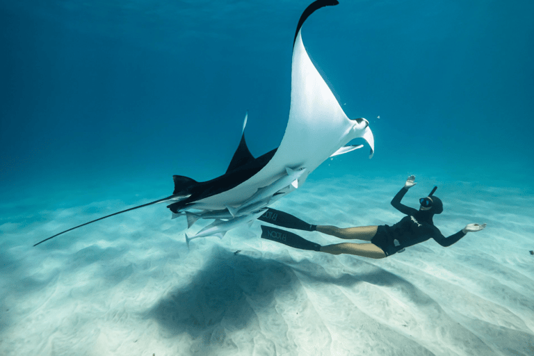 Nusa Penida: Ganztägiges Schnorcheln mit Manta-Rochen am Manta PointSchnorcheln und Westland Tour (Treffpunkt - Penida Port)