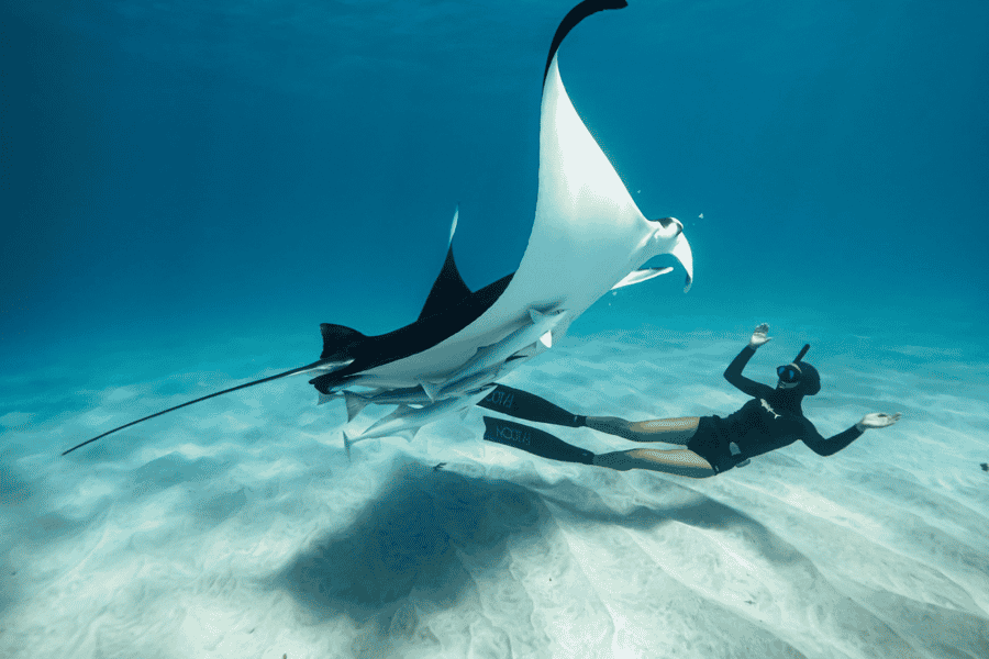 Nusa Penida Insel: Manta Point Schnorcheln & Westküsten Tour. Foto: GetYourGuide