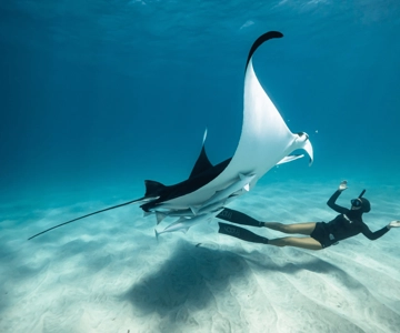 Nusa Penida Island: Manta Point Snorkeling & West Coast Tour