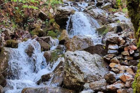 Alanya: Mix Tour Sapadere Canyon, Mountains & Dim River Transfer From Hotels