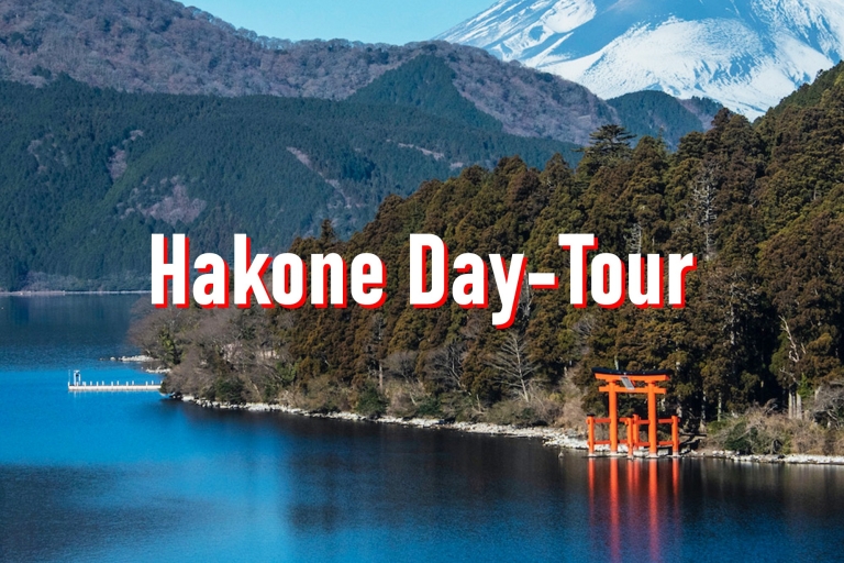 Desde Tokio: Excursión Privada Personalizada de 10 horas a HakoneExcursión personalizable de 10 horas sólo con conductor