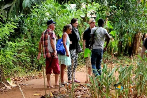 Zanzibar: Wycieczka na farmę przypraw z lokalnym lunchem | Pół dnia