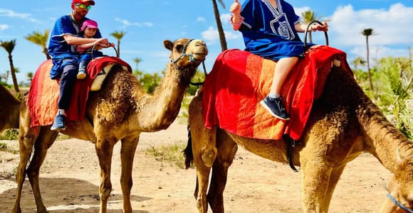 Agadir: Camel Ride With Tea & BBQ Dinner Option