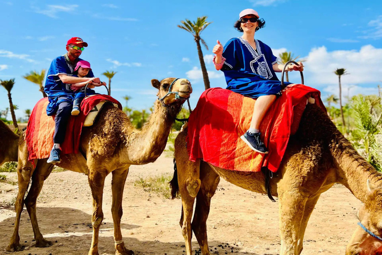 Agadir: Camel Ride With Tea & BBQ Dinner Option Camel Ride With Tea