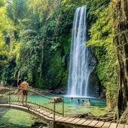 Ubud Tour with Optional English, Spanish and Italian Guide