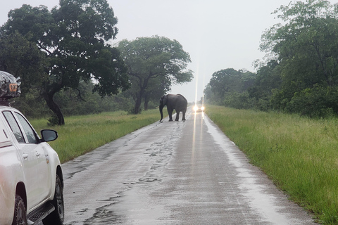 Victoria Falls: 5-Day Tour with Chobe Safari & Livingstone
